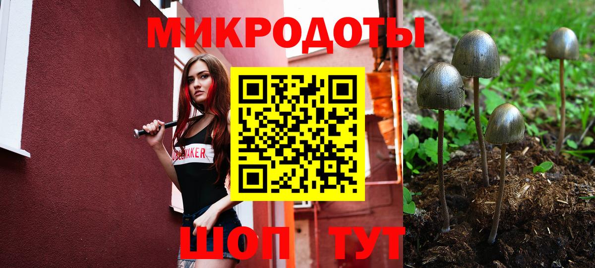 Галлюциногенные грибы Cubensis  Вход с VPN  Нальчик 