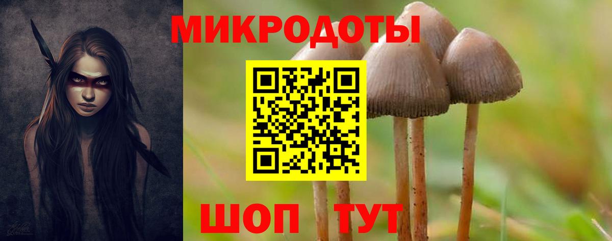 ГАШ Нальчик